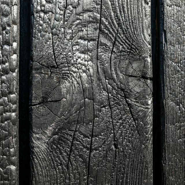 Wood Texture